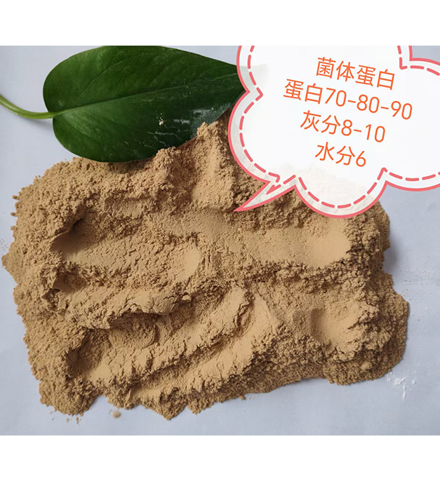菌体蛋白