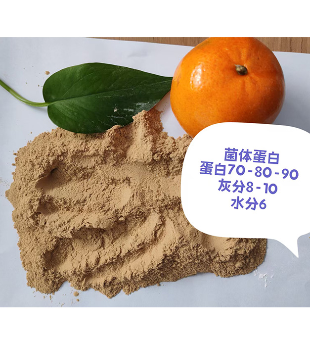 菌体蛋白