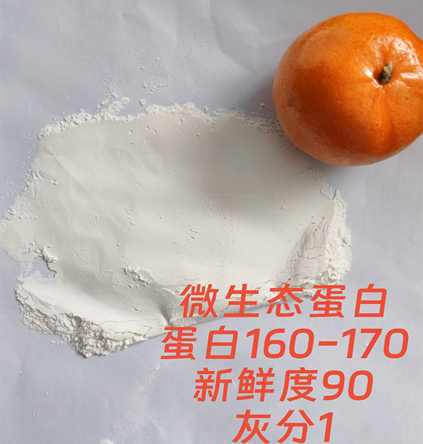微生态蛋白