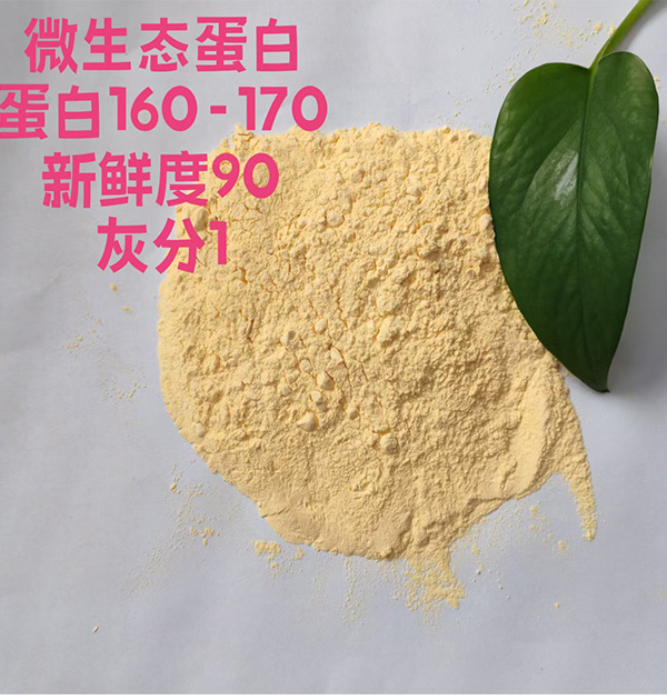微生态蛋白