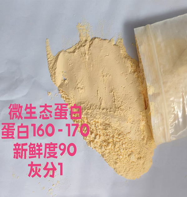 微生态蛋白