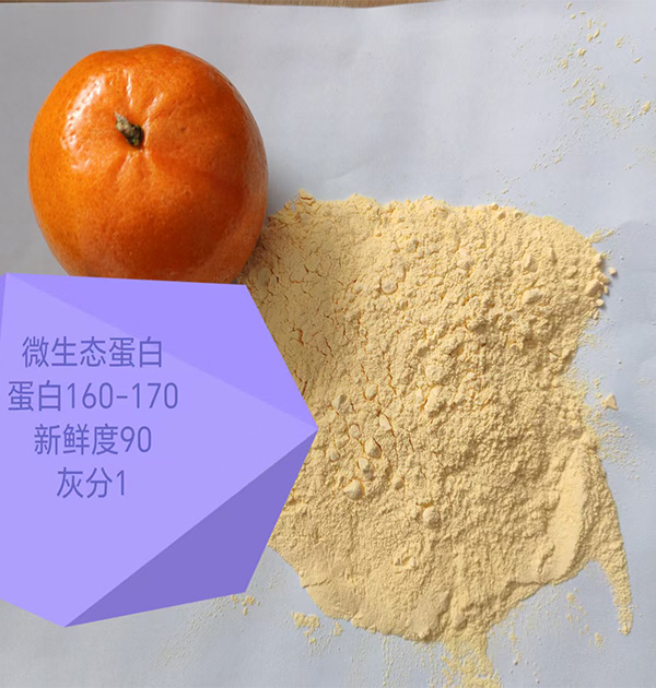 微生态蛋白