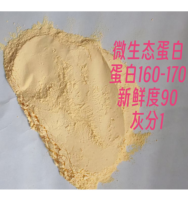 微生态蛋白